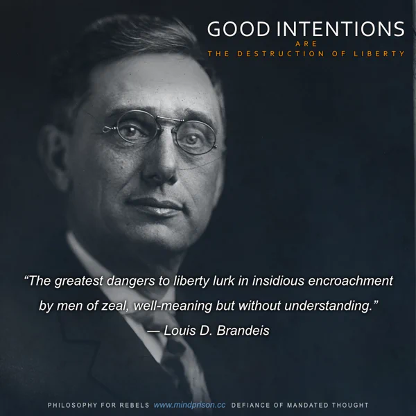 Philosophy for Rebels - 2.14: Good Intentions Are The Destruction of Liberty