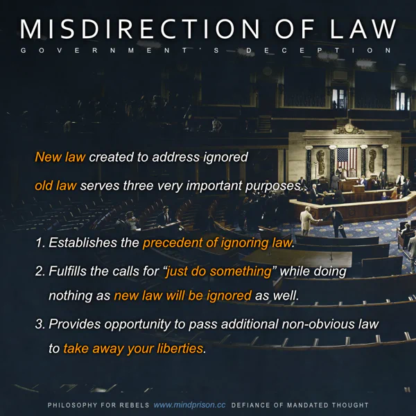 Philosophy for Rebels - 2.44: Misdirection of Law