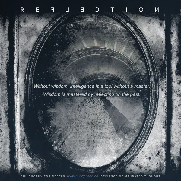 Philosophy for Rebels - 3.7: Reflection